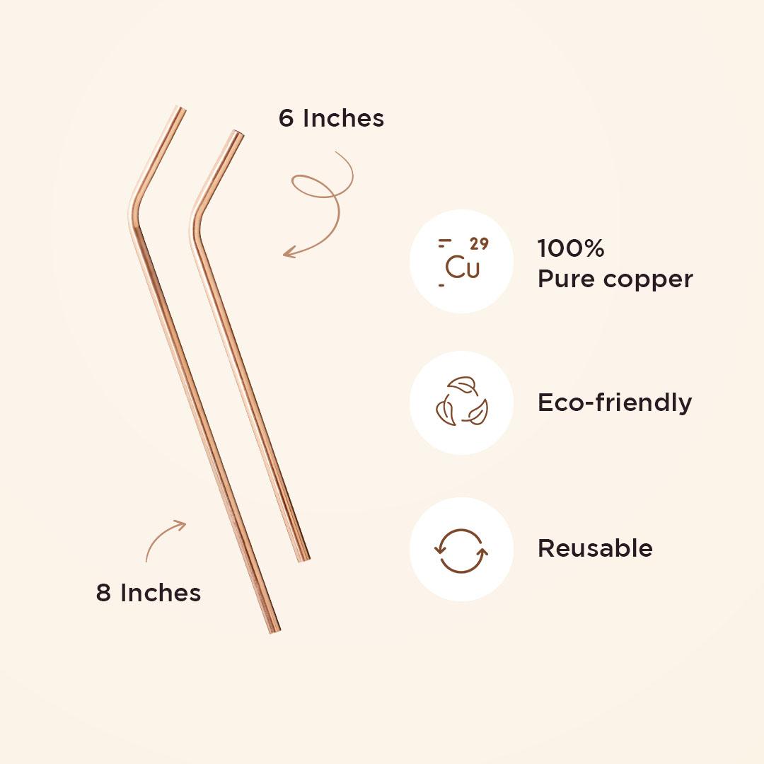 Pack of 04 Angled Straws - 02 S and 02 L