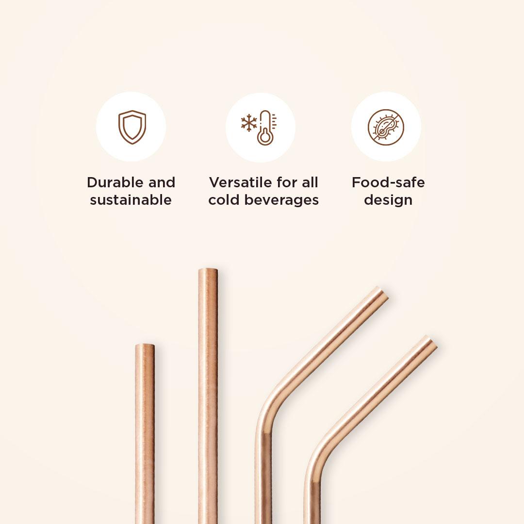 Pack of 04 Large Straws - 02 Straight and 02 Angled