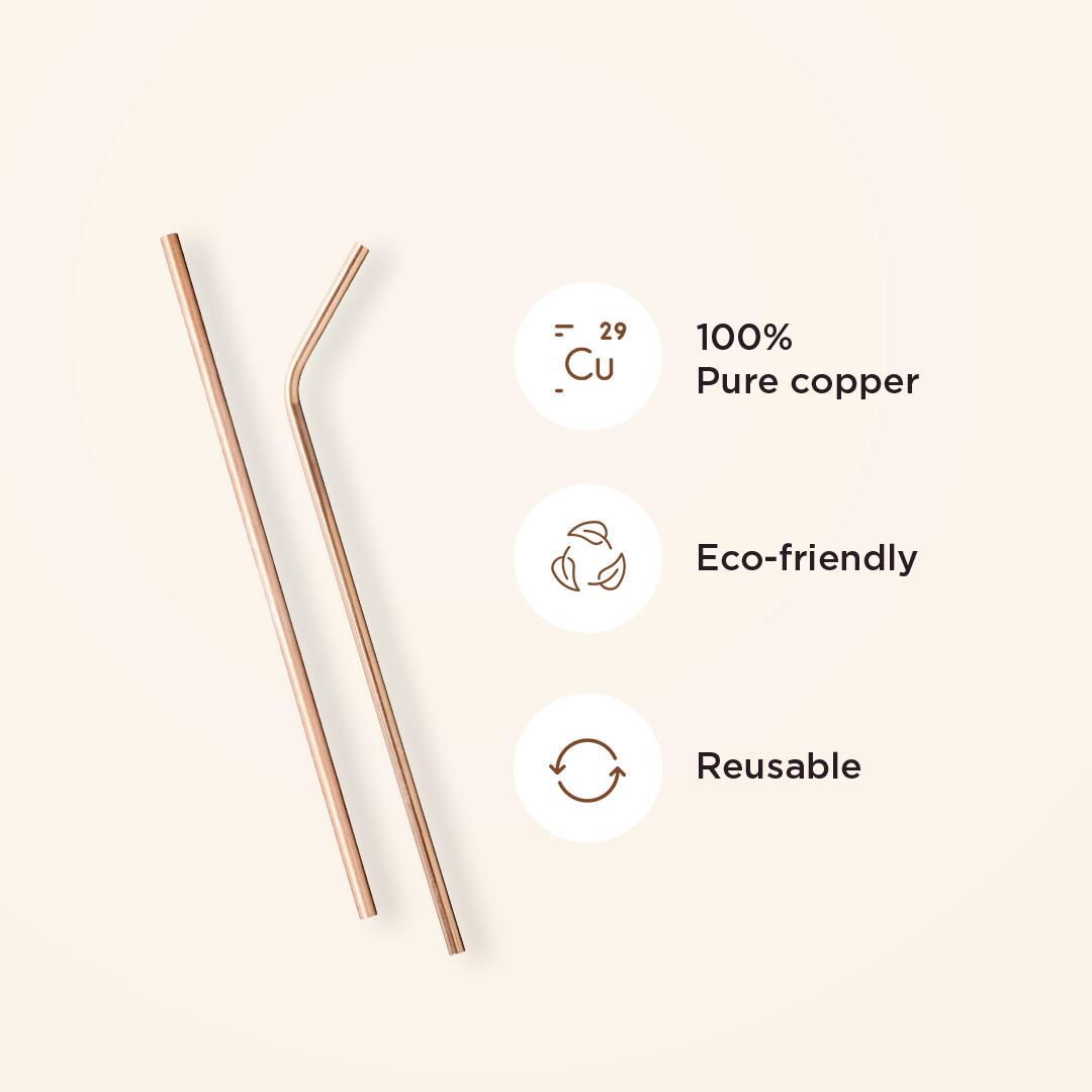 Pack of 04 Large Straws - 02 Straight and 02 Angled