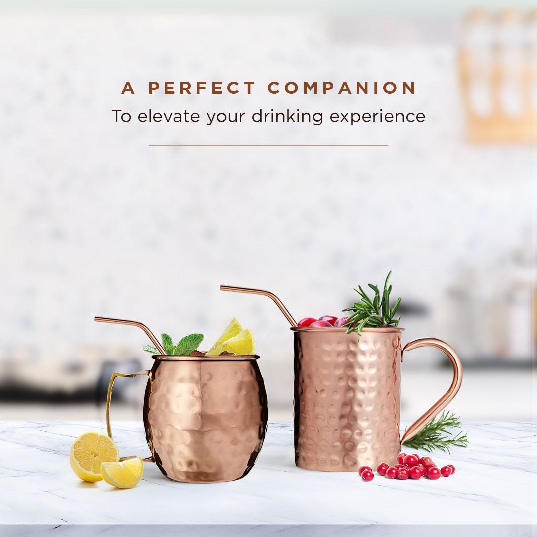 Pack of 04 Angled Straws - 02 S and 02 L