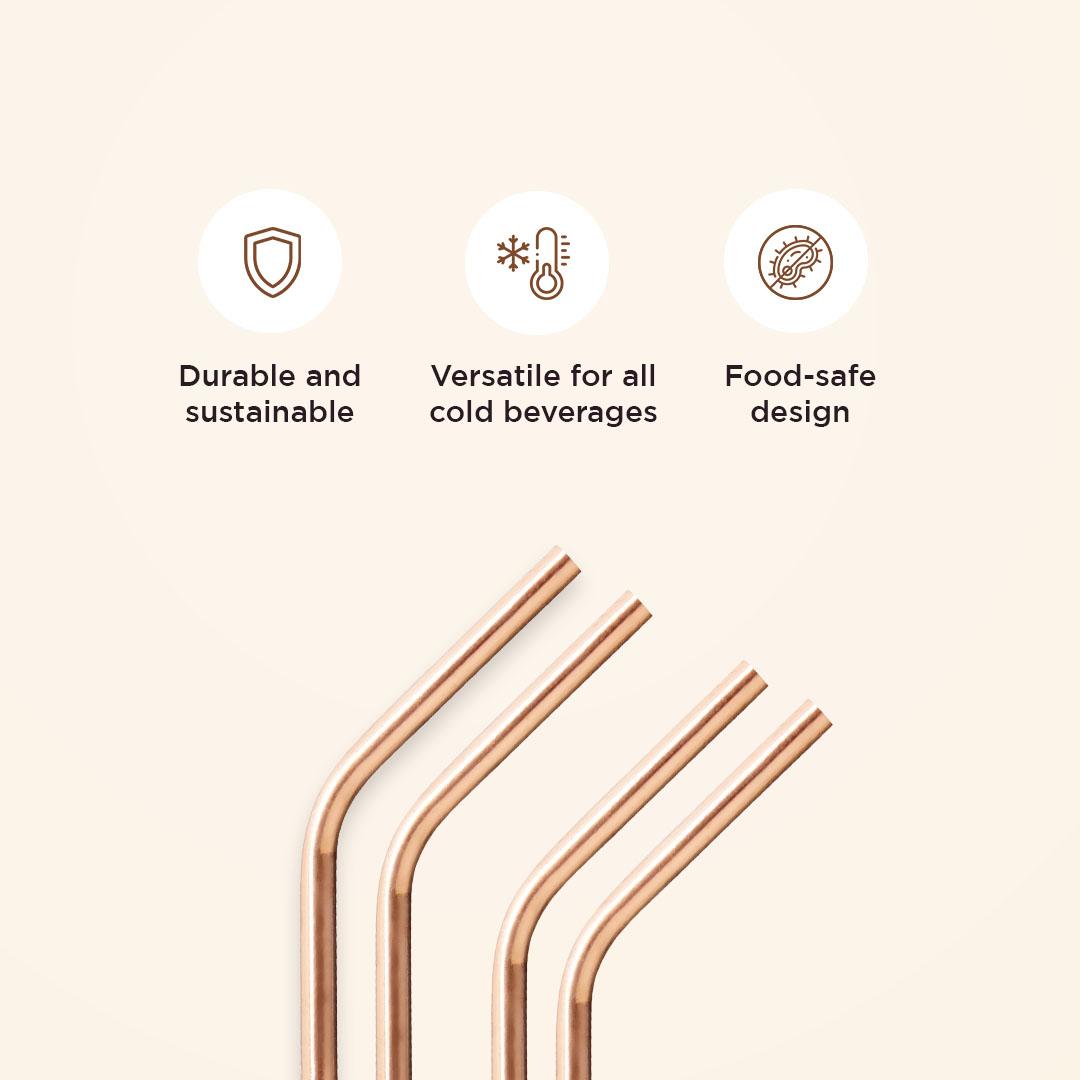 Pack of 04 Angled Straws - 02 S and 02 L