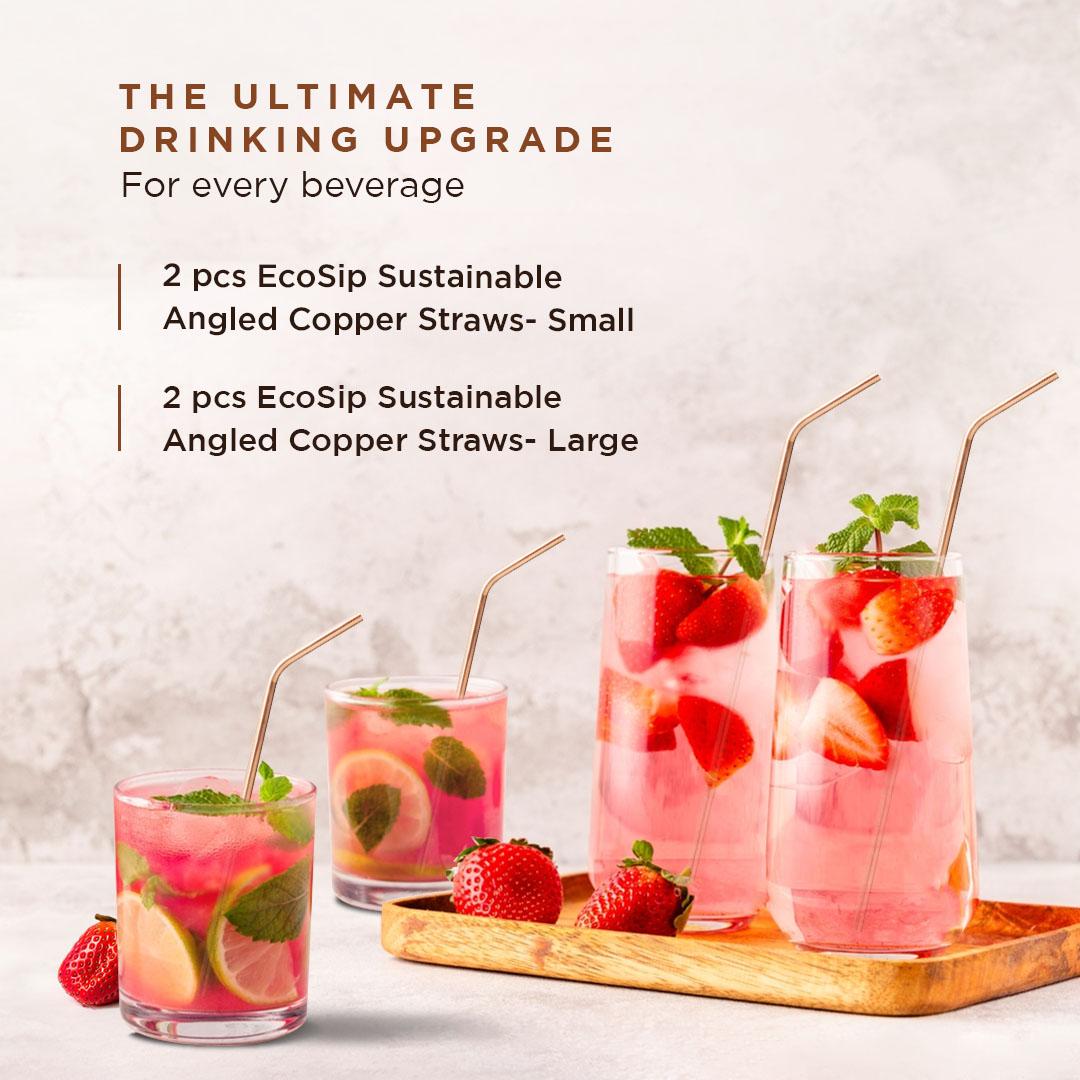 Pack of 04 Angled Straws - 02 S and 02 L